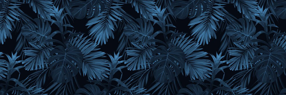 Bleu Bleu
