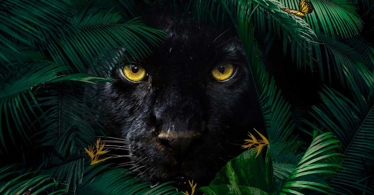 Papier peint panoramique Botanic animals