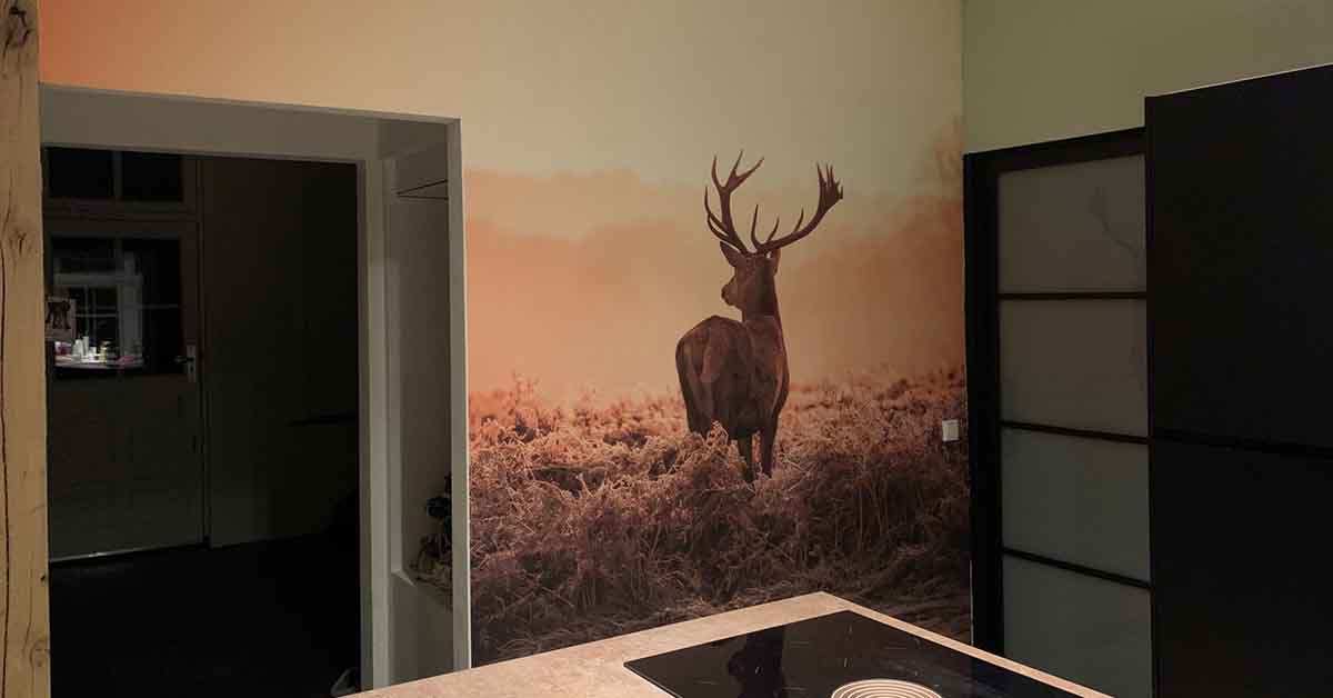 Papier peint panoramique avec un cerf Papier peint panoramique avec un cerf