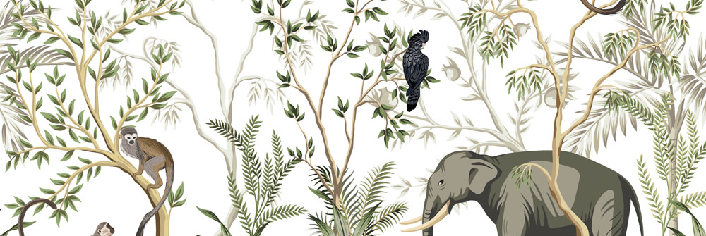 FAUNE DE LA JUNGLE FAUNE DE LA JUNGLE