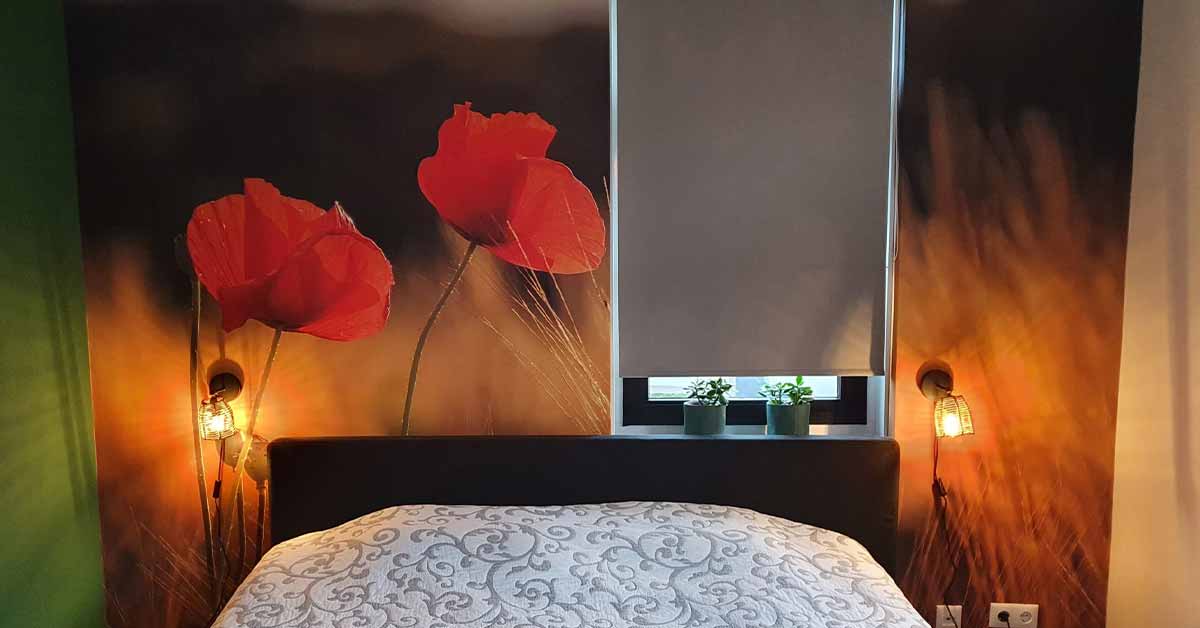 Coquelicots Papier peint Coquelicots Papier peint