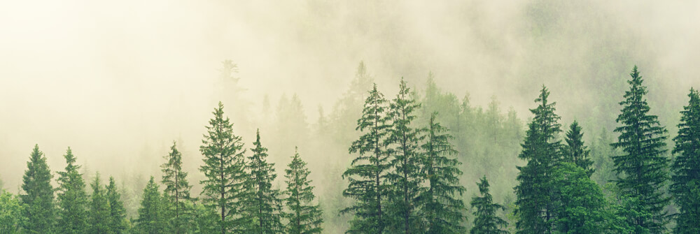 Papier Peint Brume Papier Peint Brume