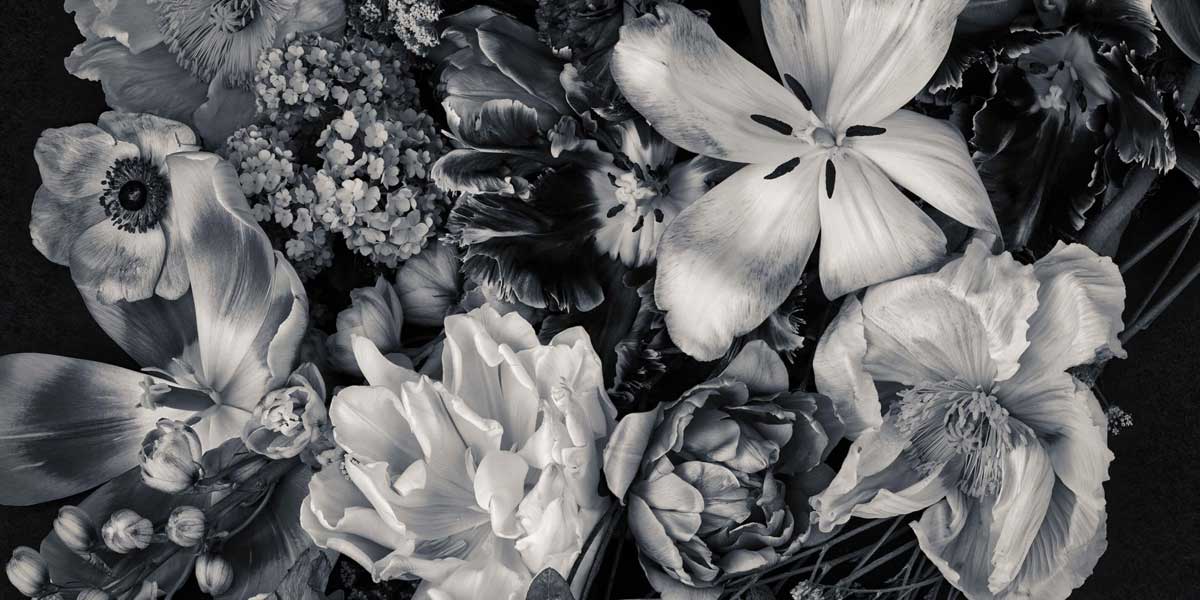 Fleur Blanc et Noir