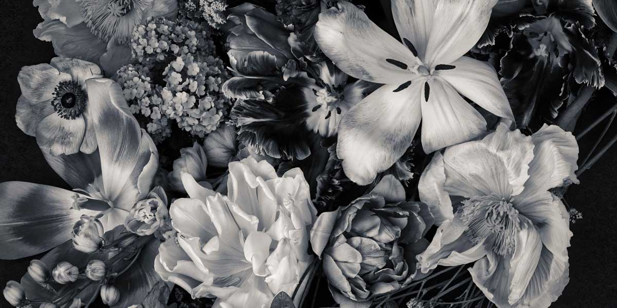 Papier Peint Fleur Blanc et Noir