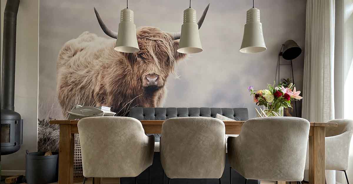 Papier Peint Highland Ecossais