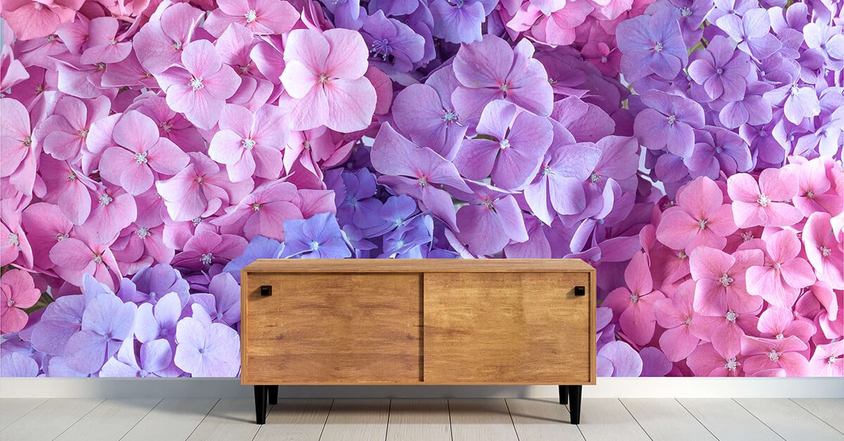 Papier peint photo Hortensia 