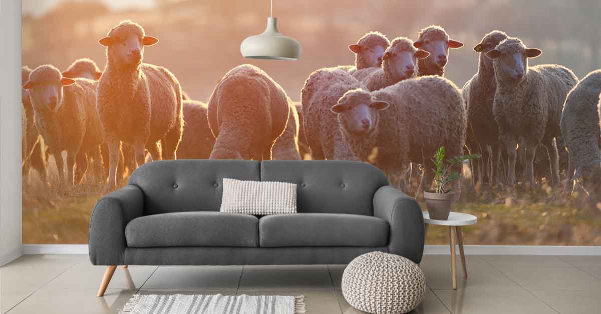 Papier peint Mouton