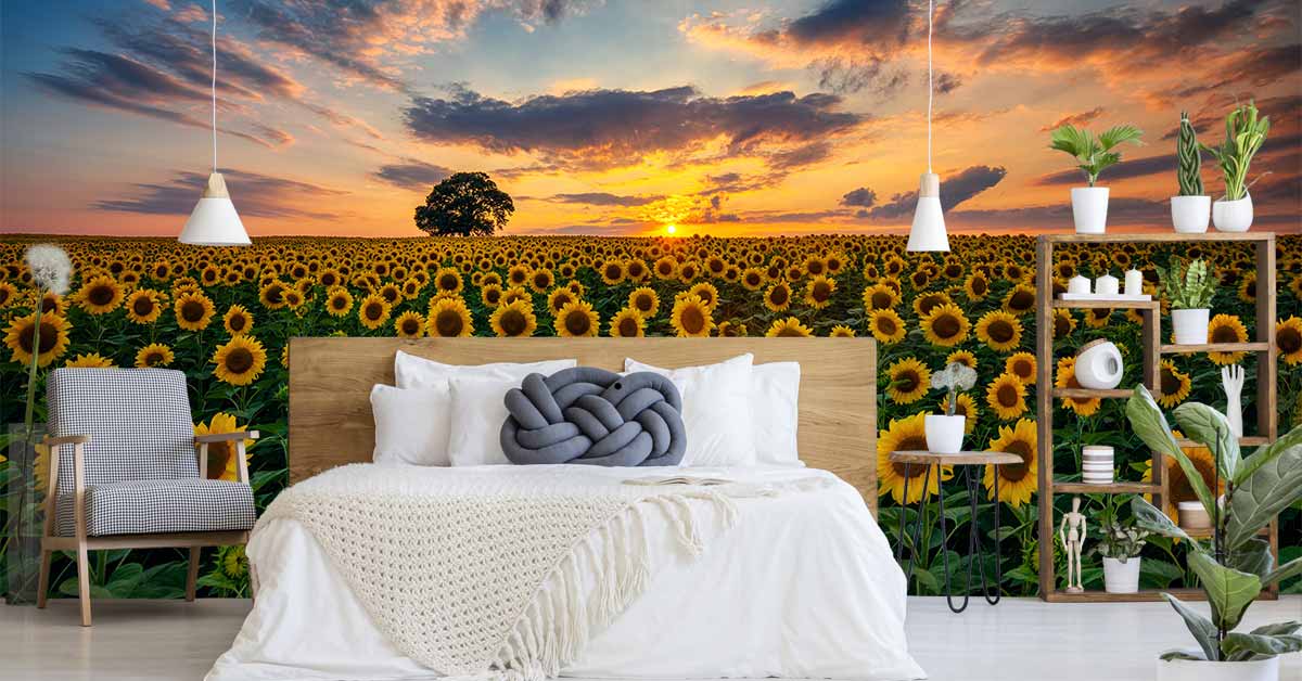 Papier peint tournesol