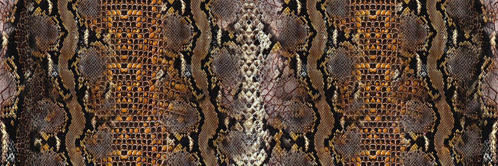 Papier peint panoramique serpent Papier peint panoramique serpent