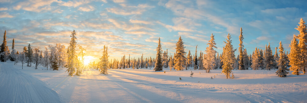 Papier Peint Hiver Papier Peint Hiver