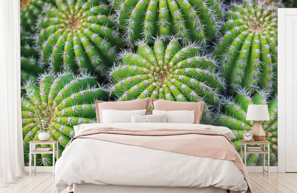 Cactus - Cacti - Chambre d'adolescent 1