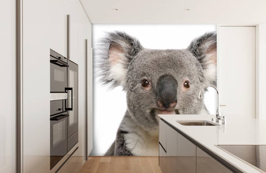 Autre - Photo d'un koala - Chambre des enfants 3
