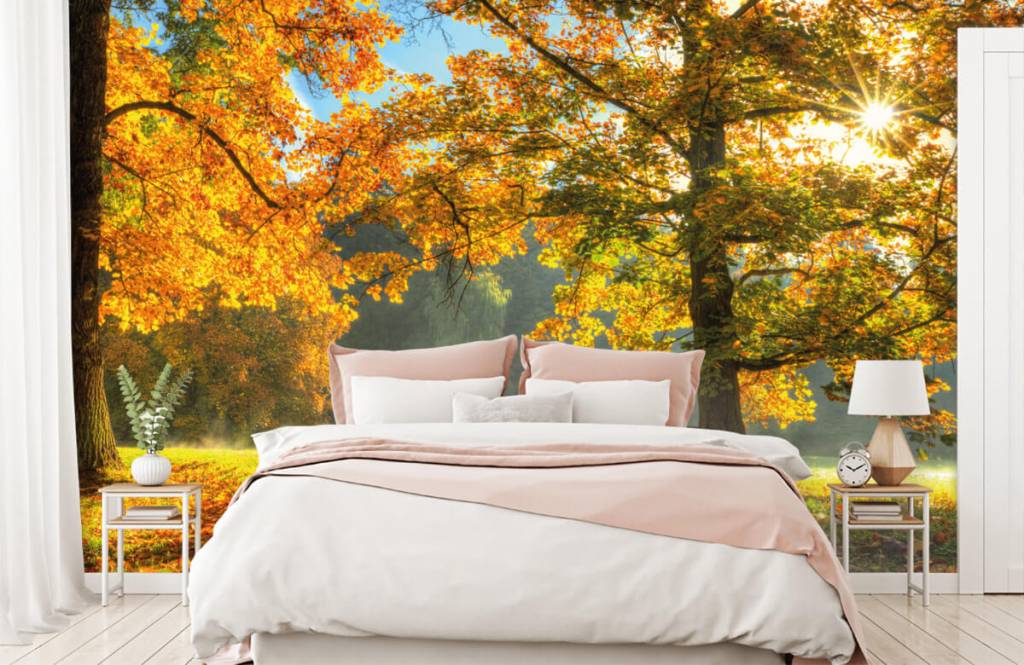 Papier peint de la forêt - Arbre aux couleurs de l'automne - Chambre à coucher 4
