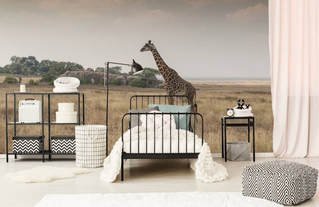 Animals - Girafe dans la savane - Chambre à coucher 7