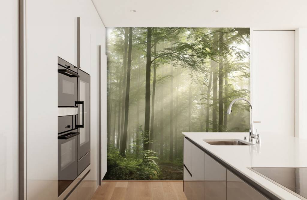 Papier peint de la forêt - La forêt verte dans le brouillard - Chambre à coucher 3