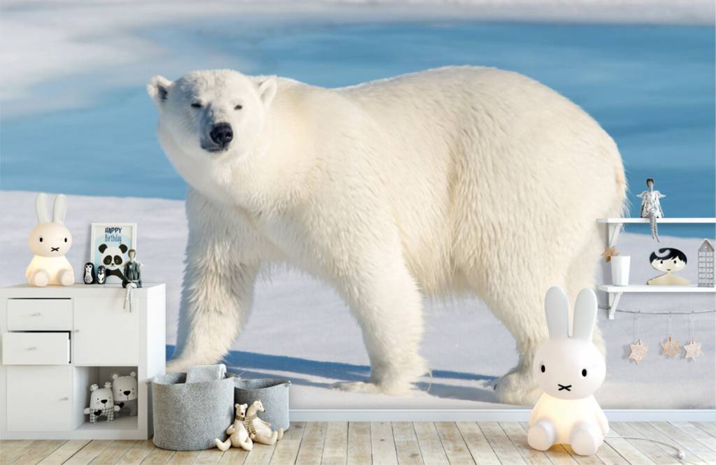 Autre - Ours polaire - Chambre des enfants 4
