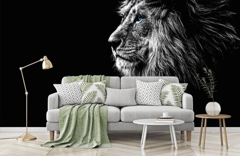 Animaux de Safari - Lion aux yeux bleus - Chambre d'adolescent 7
