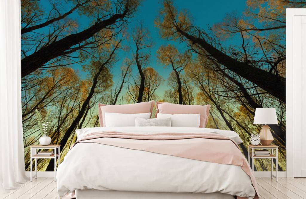 Papier peint de la forêt - Lever de soleil entre les grands arbres - Chambre à coucher 2
