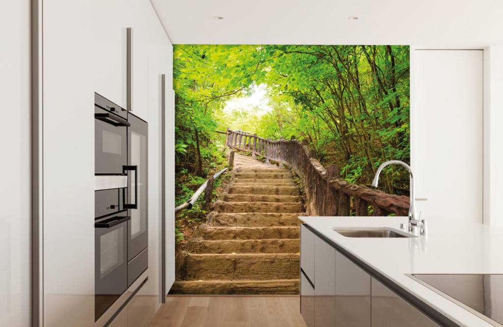 Papier peint de la forêt - Escalier en forêt - Chambre à coucher 1
