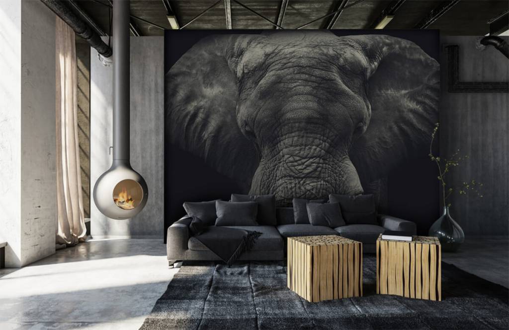 Éléphants - Gros plan sur un éléphant - Chambre à coucher 6