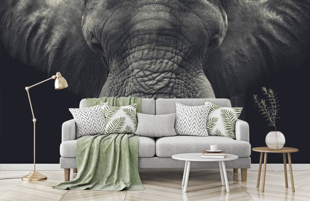 Éléphants - Gros plan sur un éléphant - Chambre à coucher 7