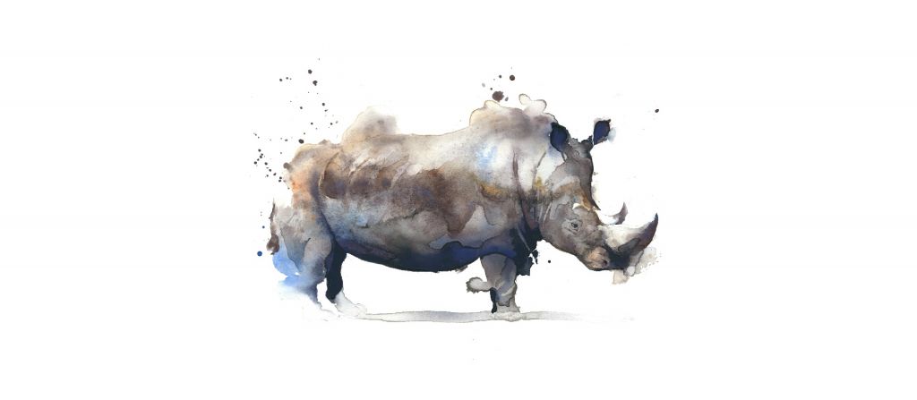 Rhinocéros en aquarelle