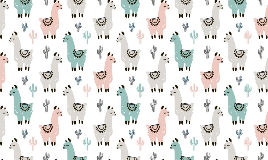 Lamas colorés