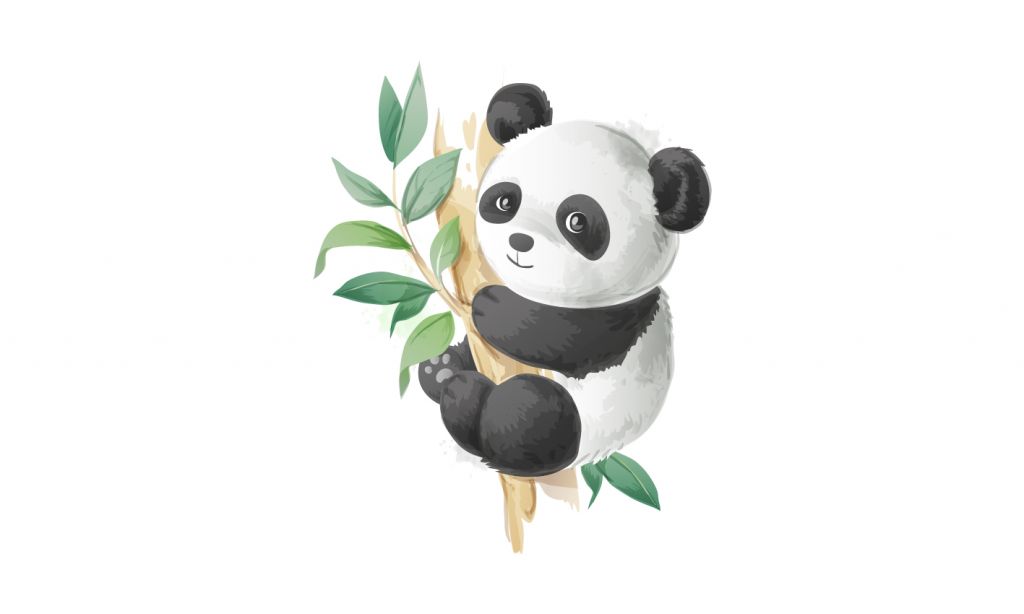 Panda mignon