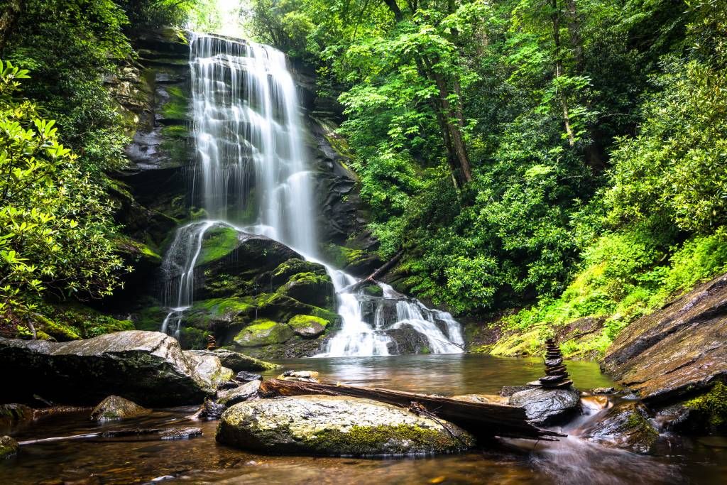 Chute d'eau de la jungle