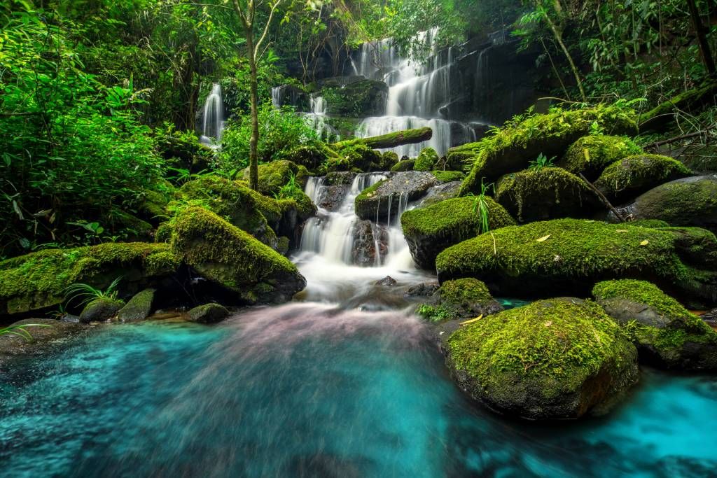 Chute d'eau dans une jungle