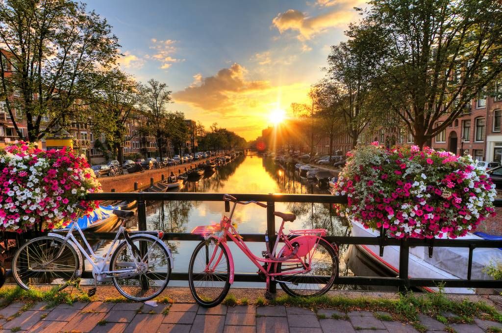 Faire du vélo sur un pont avec des fleurs