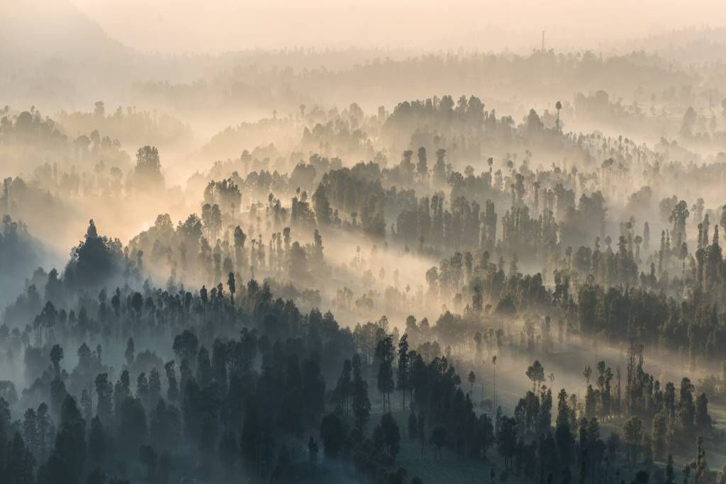 Montagnes brumeuses en Indonésie