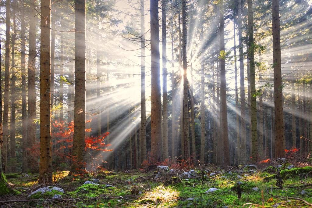 Ensoleillement en automne