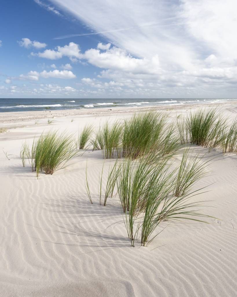 Plage avec dunes