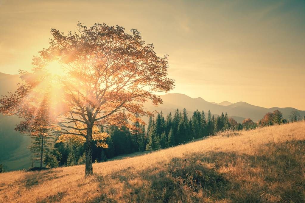 Coucher de soleil dans une vallée