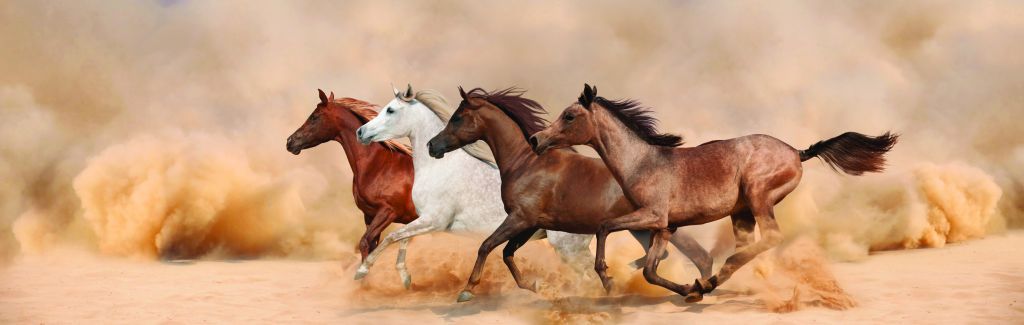 Des chevaux au galop dans une tempête de sable