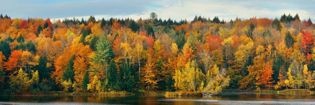 Lac avec arbres d'automne