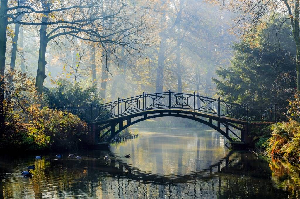 Vieux pont en automne