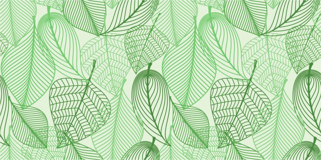Feuilles vertes dessinées