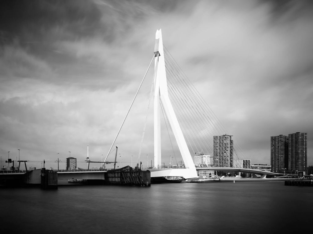 Pont Erasmus Rotterdam