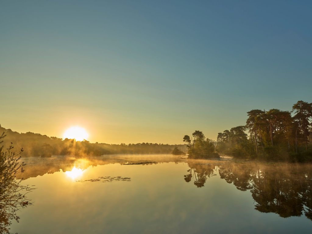 Lever de soleil au lac forestier