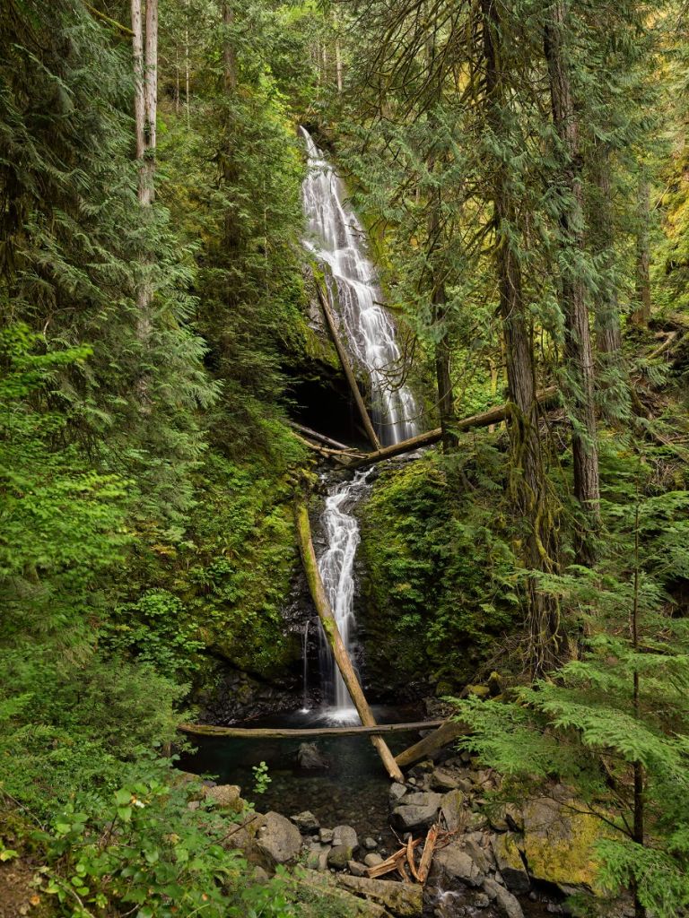 Chute d'eau avec des arbres tombés