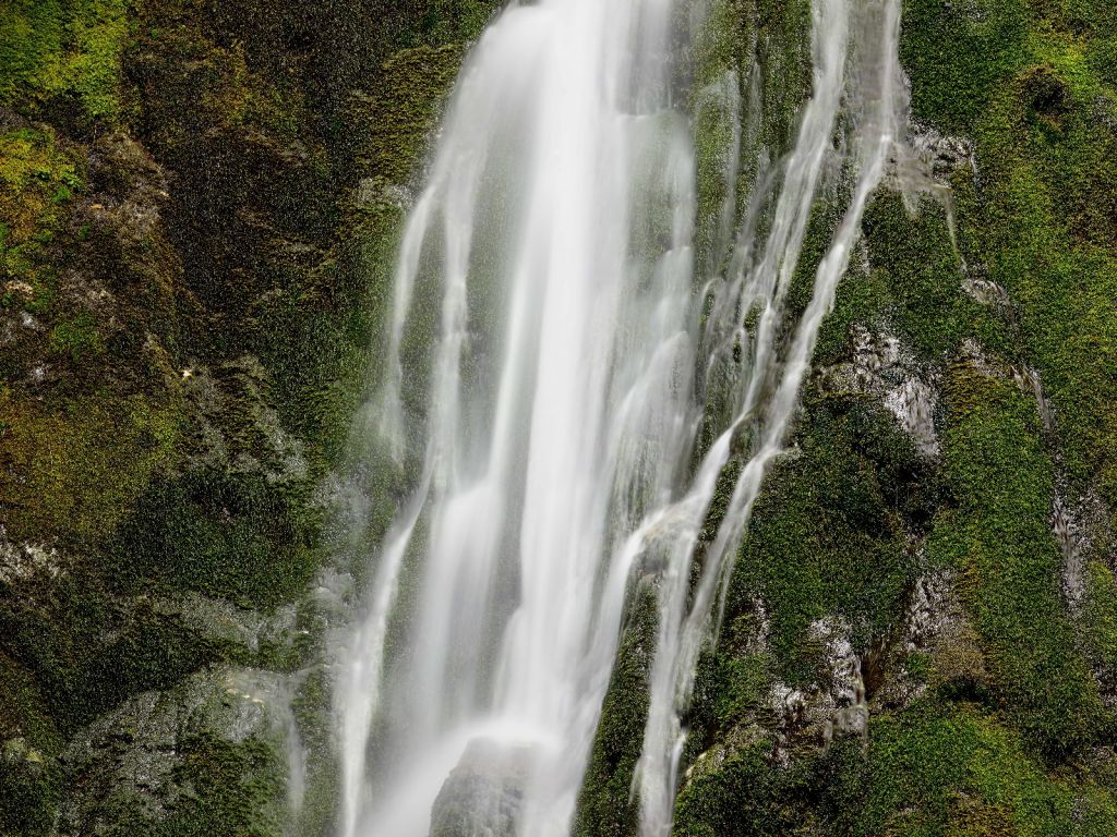 Chute d'eau avec mousse