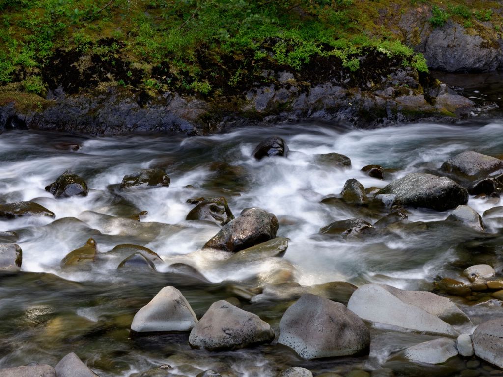 Rivière avec rochers