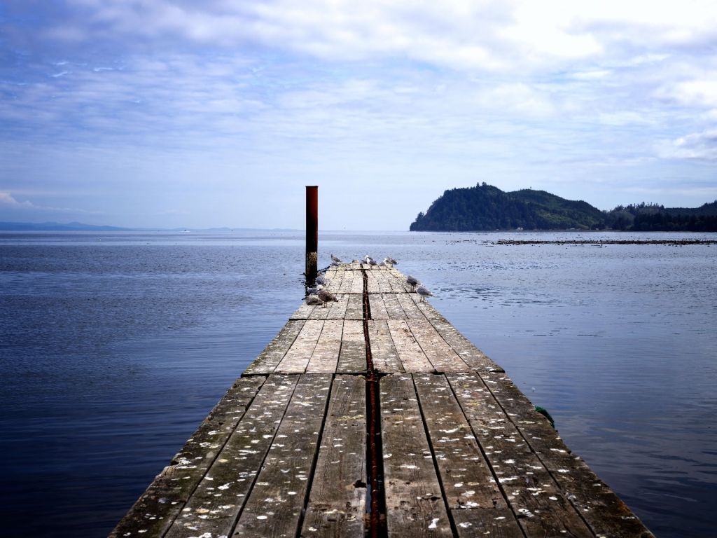 Echafaudages en mer