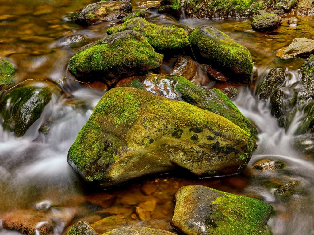 Roches vertes