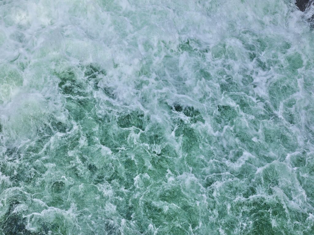 Eaux sauvages