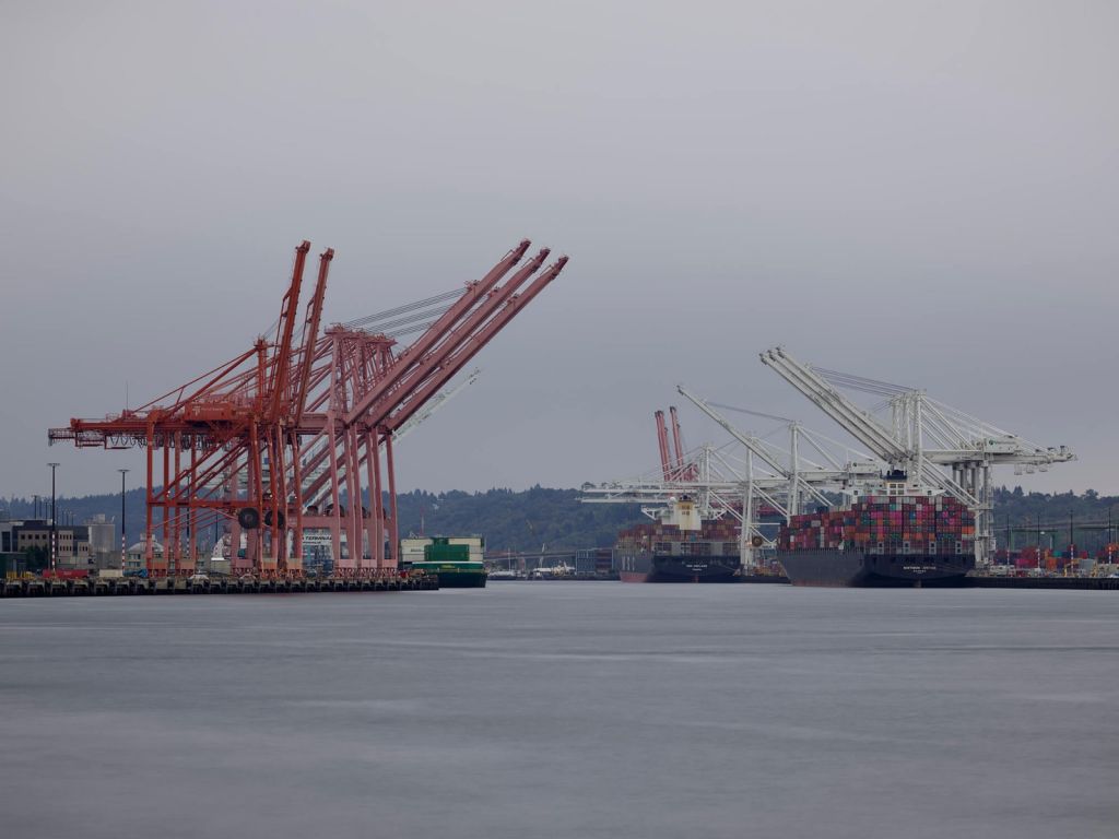 Grues dans le port