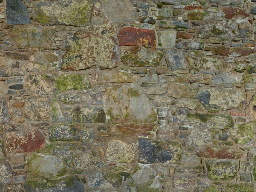 Vieux mur avec mousse