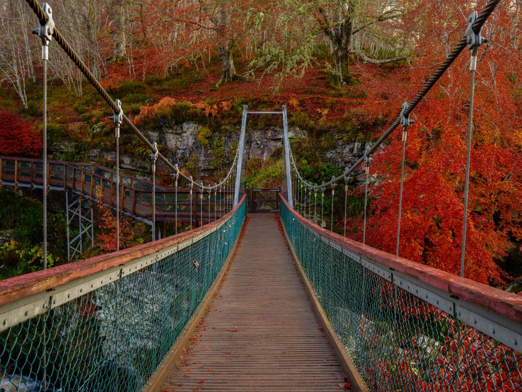 Pont dans un décor d'automne
